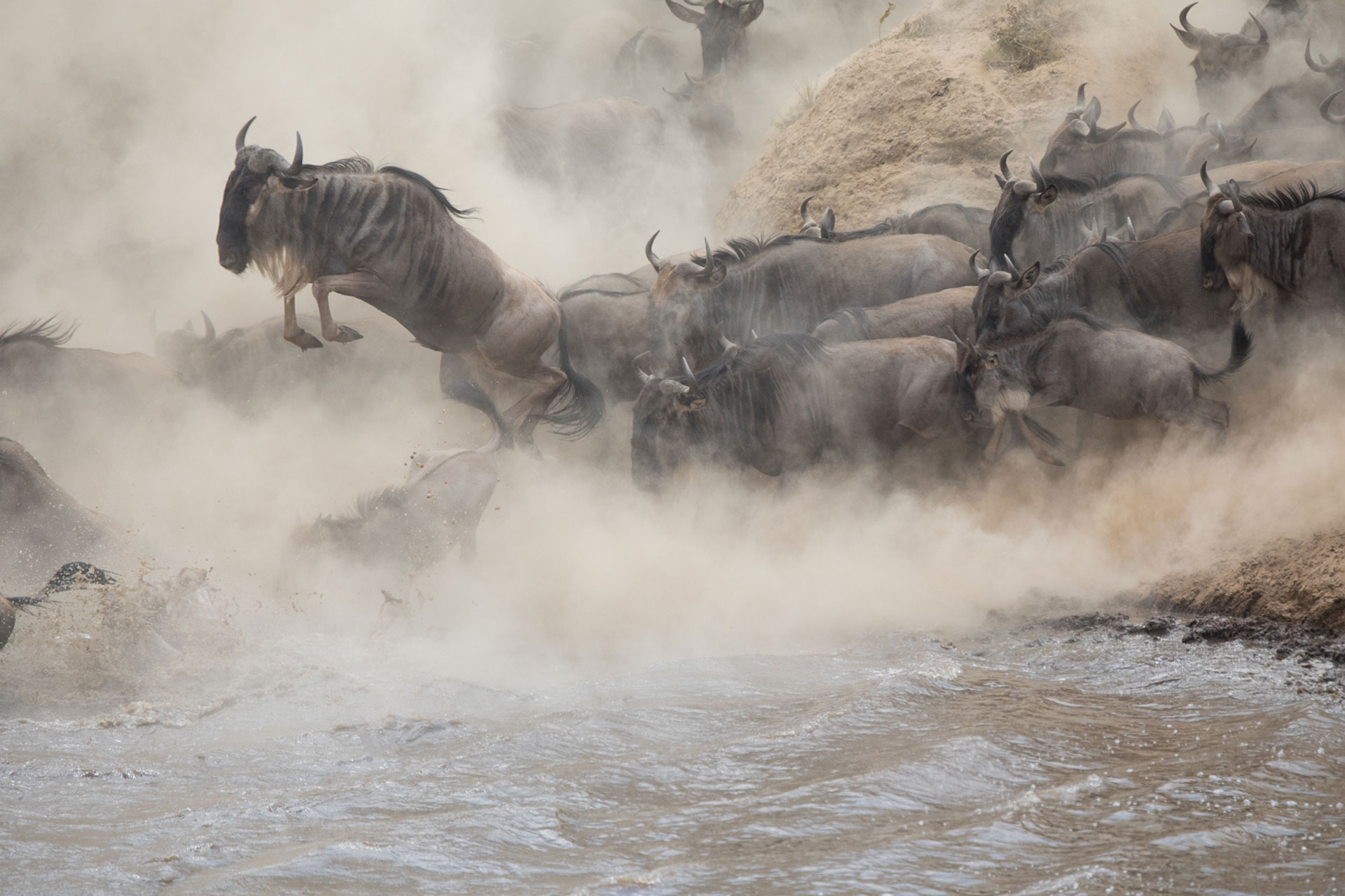 image taken in Kenya Safari