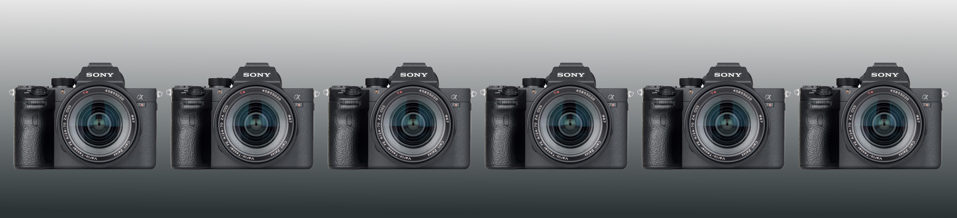 featured image of post: Sony A7RIII:  My Five Faves