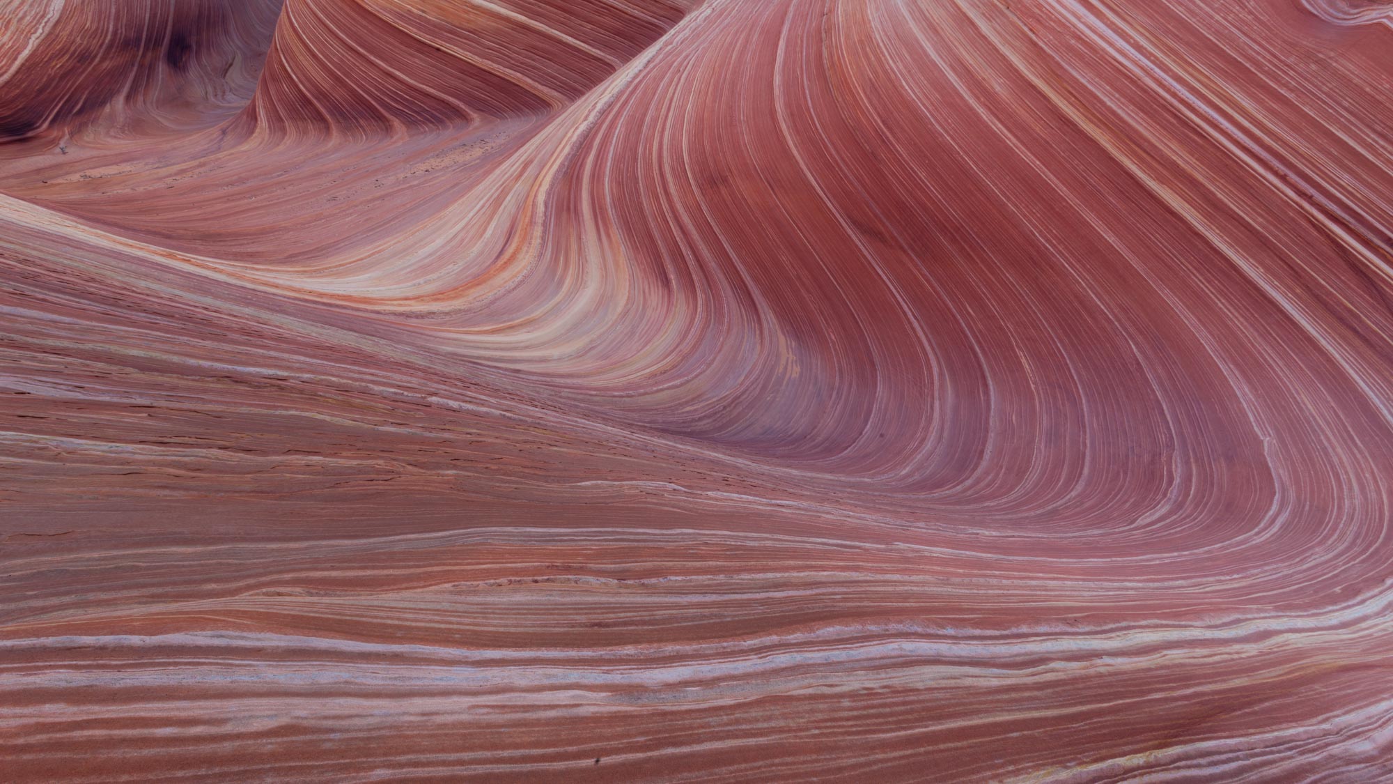 Early morning image of the iconic location in northern Utah known as "The Wave"