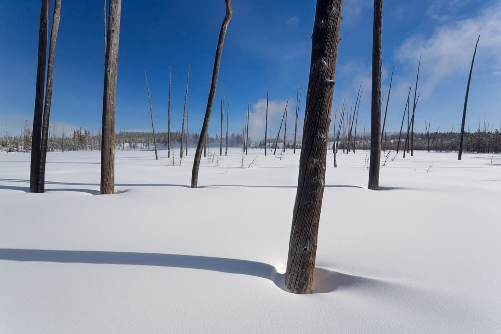 featured image of post: A Long Walk with a Good Camera