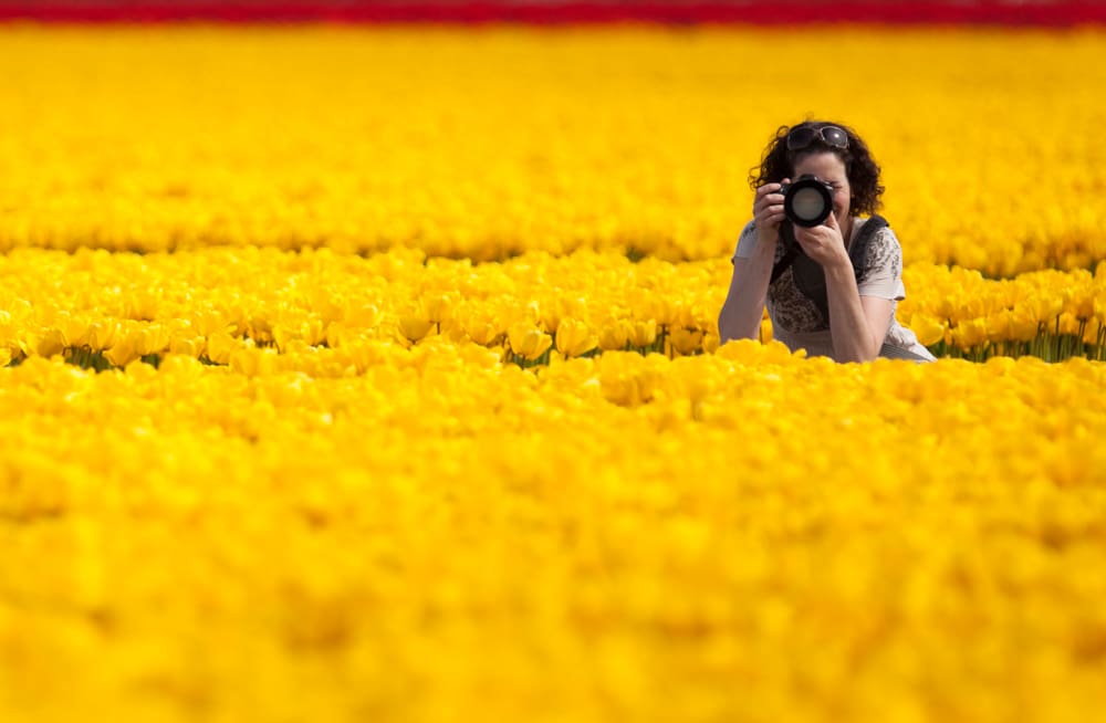 featured image of post: The Greatest Lens in Photographic History