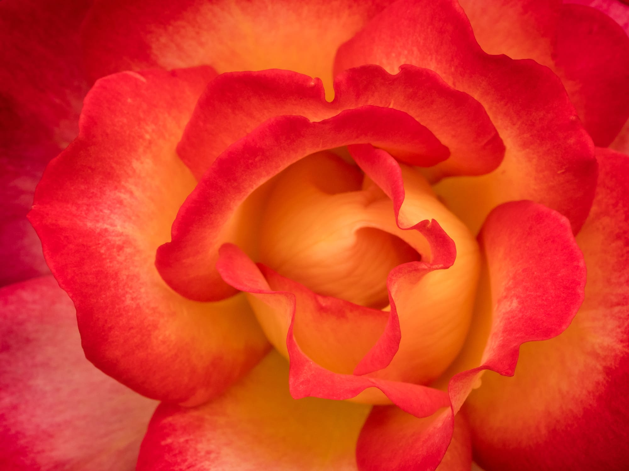 featured image of post: Finding Purpose & Motivation as a Photographer