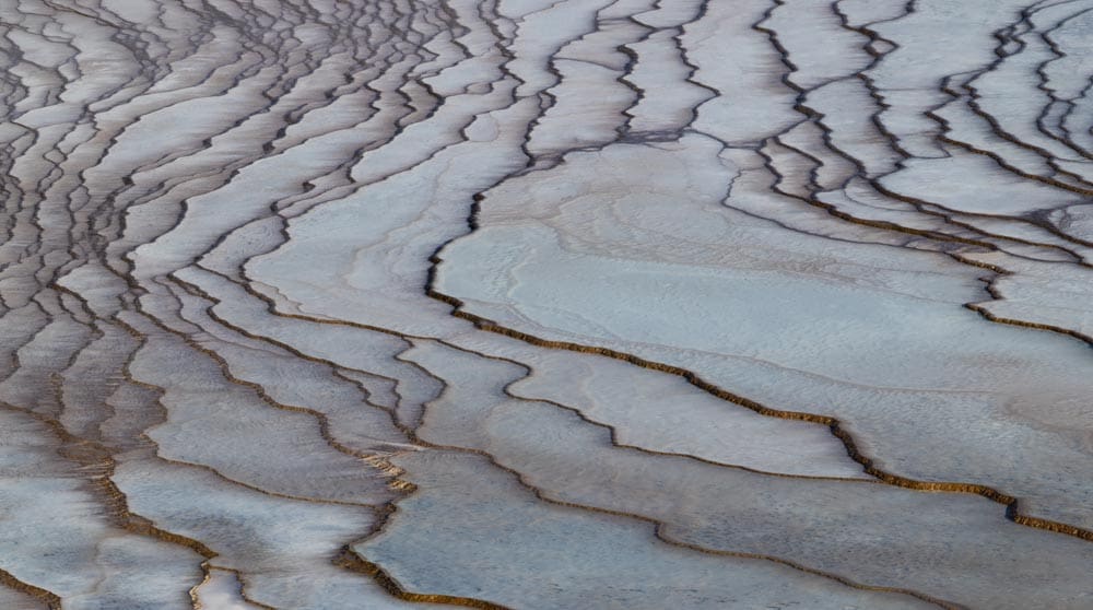 Aerial view of pale mineral terrace formations with branching, vein-like ridgelines and pooled water in the low points.