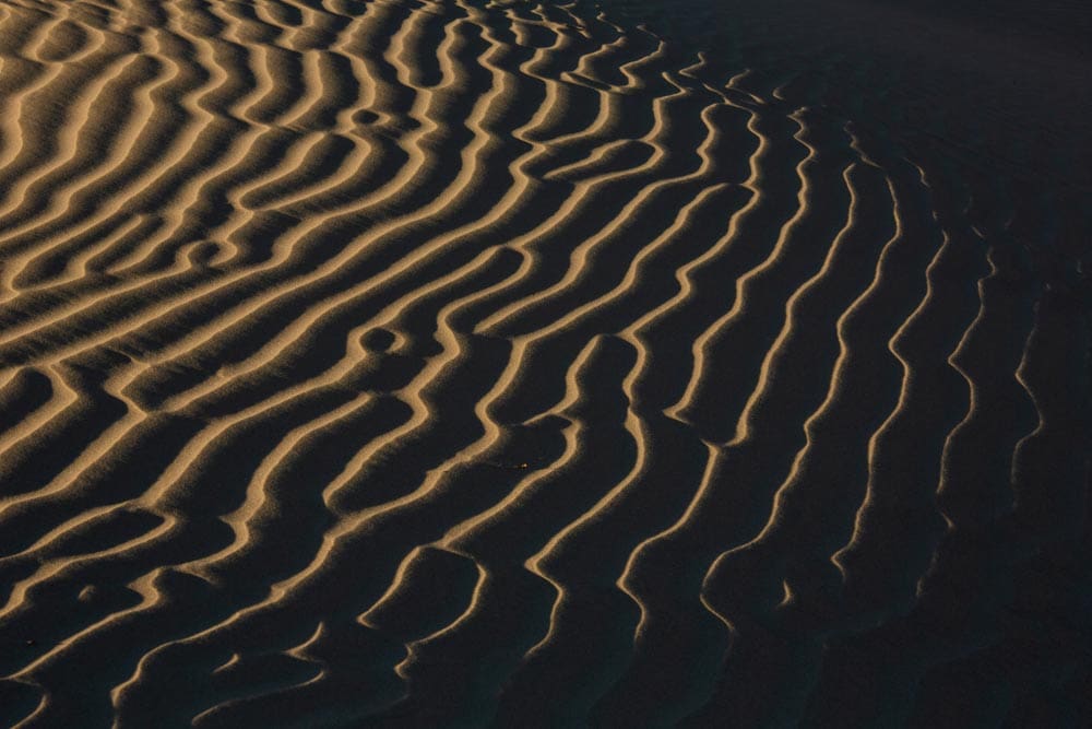 Golden-lit sand dune with rippled wave patterns curving across the frame, deep shadows tracing each ridge.