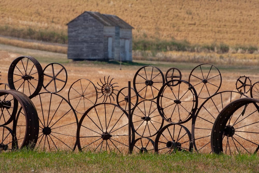 Dozens of antique iron wagon wheels of varying sizes arranged into a fence, with a weathered wooden shed and wheat field blurred in the background.